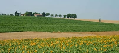 Foodrise responds to the EU’s Farm to Fork strategy