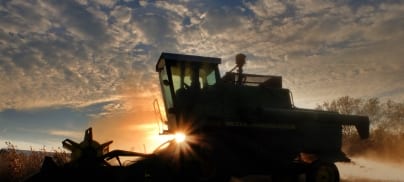 Waarom Foodrise EU zich inzet voor een rechtvaardig en duurzaam voedselsysteem? Daarom!