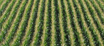 Biomethane target an “environmental disaster in the making”