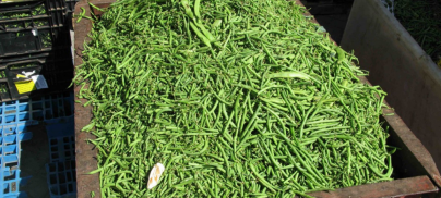 We are hungry for better targets!