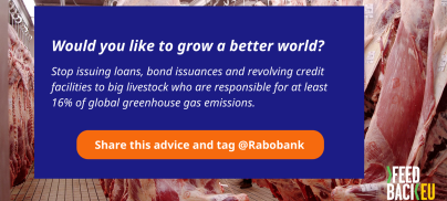 Press release: Rabobank called on to stop financing industrial meat and dairy production