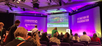 Extinction or Regeneration? We choose the latter.