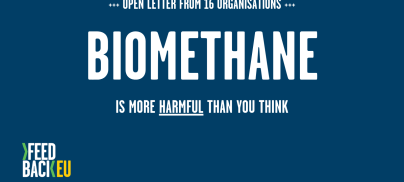 Joint call: 16 organisations condemn the current biomethane rush