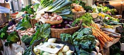 Trade Justice Now! Ask your candidates to support a just EU trade policy