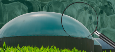 Let’s have a closer look at the biomethane rush