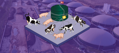 The biogas boom is fueling factory farming